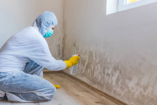 Licensed Mold Testing service in Stantonsburg, NC - WQB Mold Removal