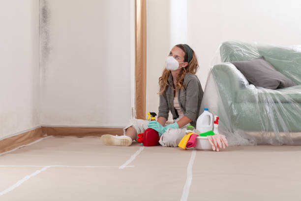 Reliable Mold Testing contractor in Stantonsburg, NC by WQB Mold Removal