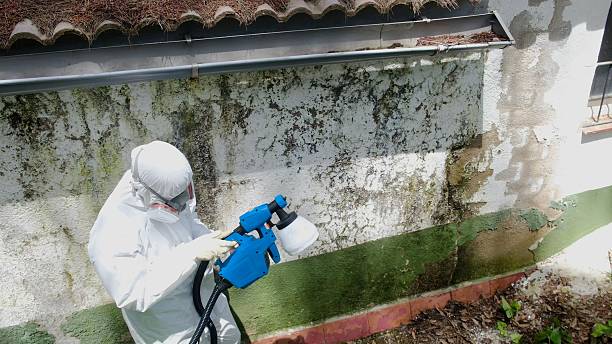 Top rated local Mold Testing specialists in Stantonsburg, NC